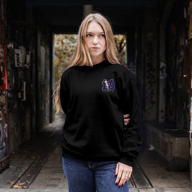 DV SOFTBALL THUNDER - CREWNECK SWEATERS