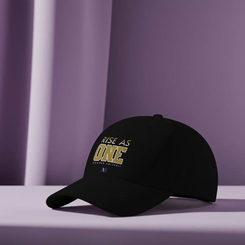 DV SOFTBALL - RISE AS ONE FITTED CAP