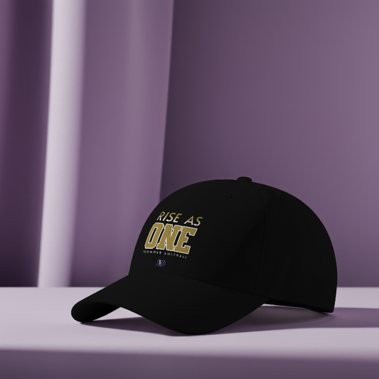 DV SOFTBALL - RISE AS ONE FITTED CAP